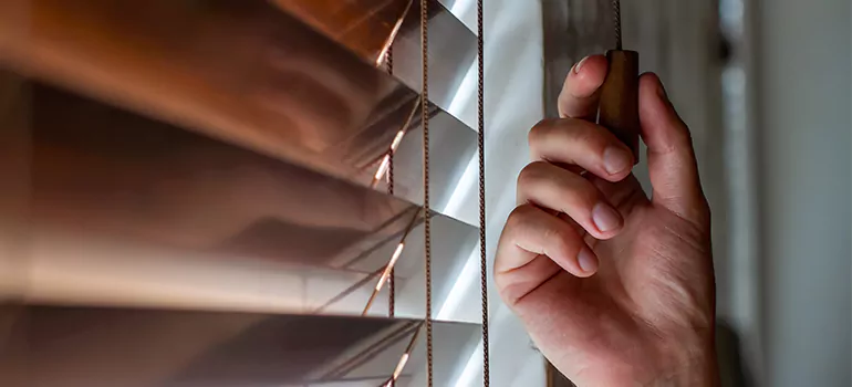 Double Roller Blinds in Pleasant Hill, CA