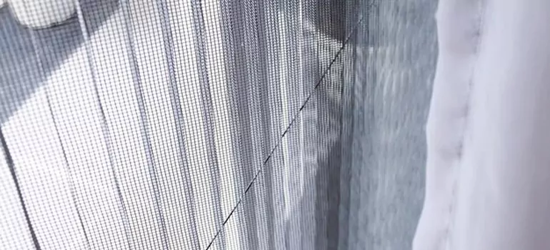 Fixing Screen Window Mesh in Pleasant Hill, CA
