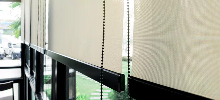 Blackout Window Shades in Pleasant Hill, CA