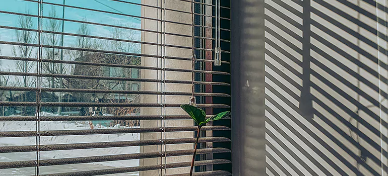 Commercial Window Blinds in Pleasant Hill, CA