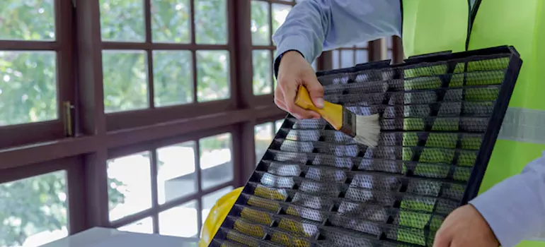 Traditional Window Grille Installation Options in Pleasant Hill, CA