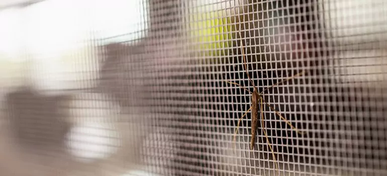 Repair Mosquito Mesh For Windows in Pleasant Hill, CA