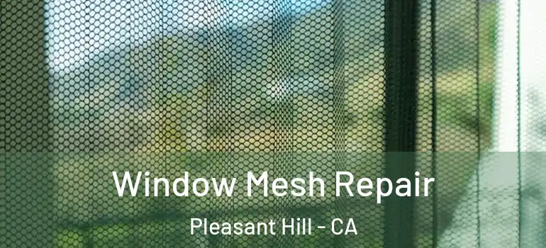  Window Mesh Repair Pleasant Hill - CA