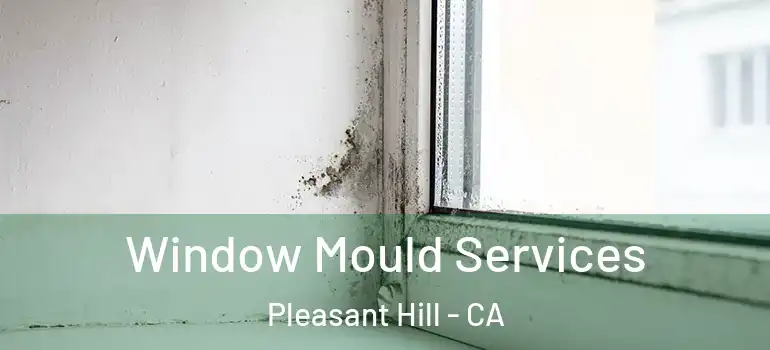  Window Mould Services Pleasant Hill - CA