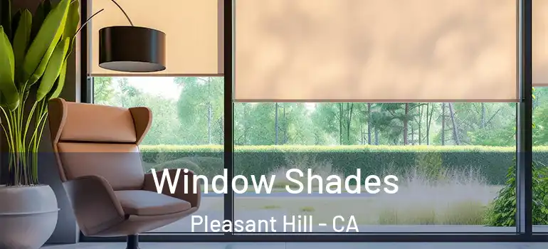  Window Shades Pleasant Hill - CA